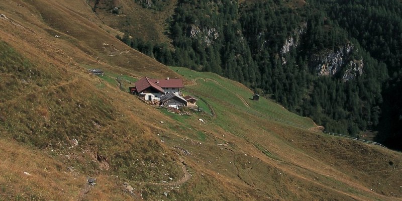 Simile-Mahd-Alm 2011m