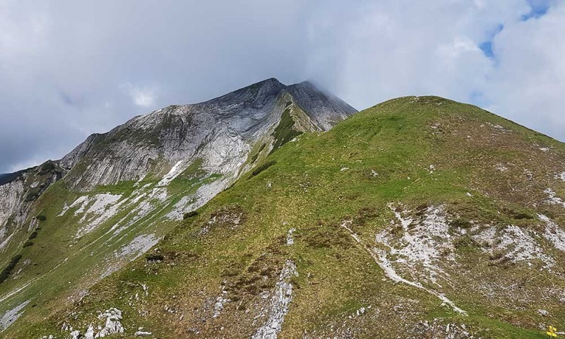 Steinfeldspitze 2344m