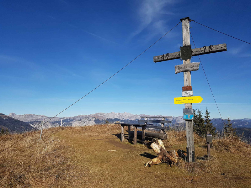 Thalerkogel 1656m