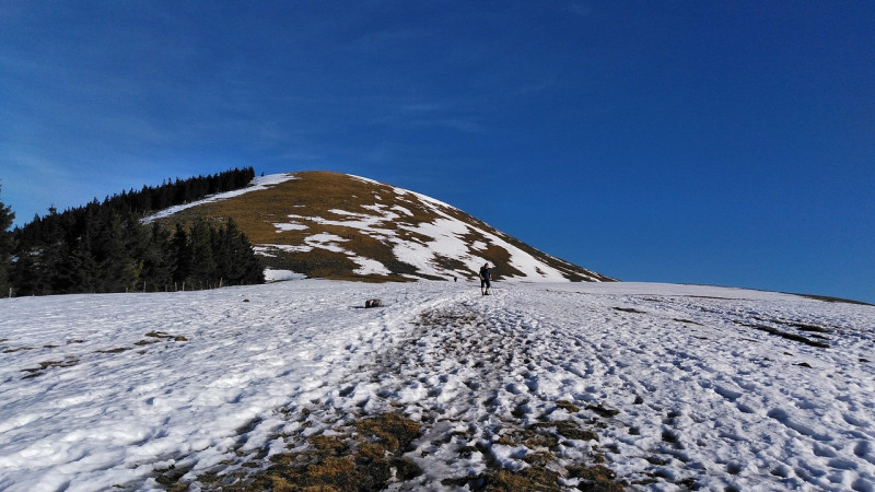 Trattberg 1757m