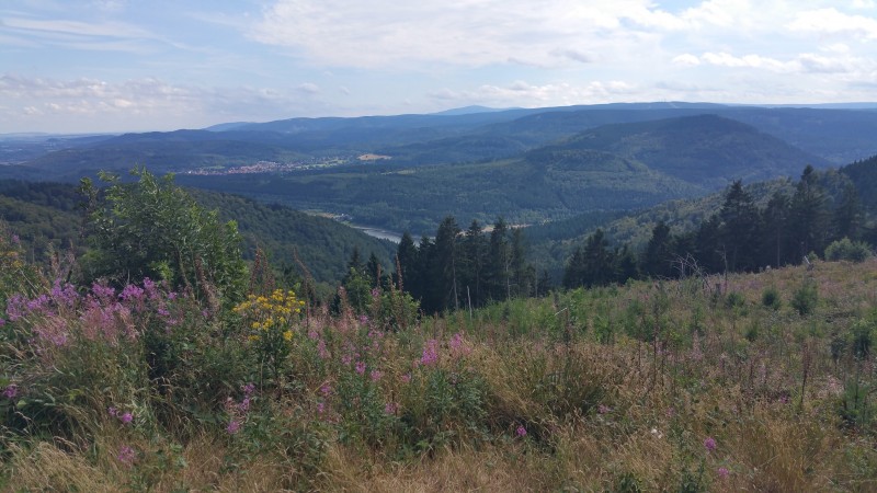 Vereinsplatz 499m