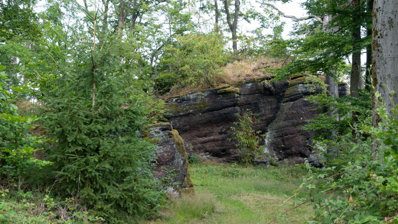Wachstein 572m