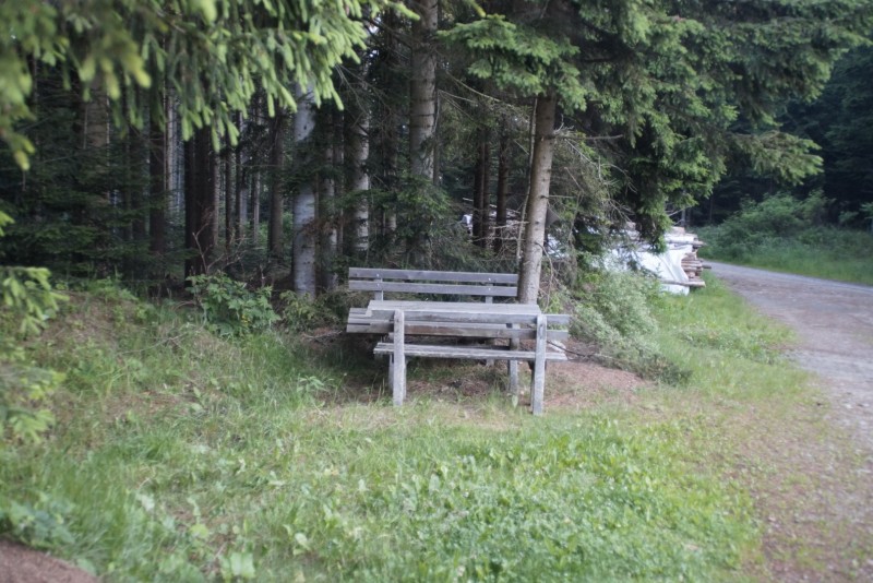 Wildwiese 1235m