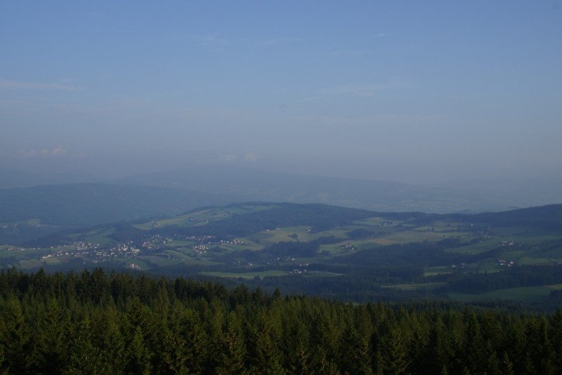 Wildwiese 1235m