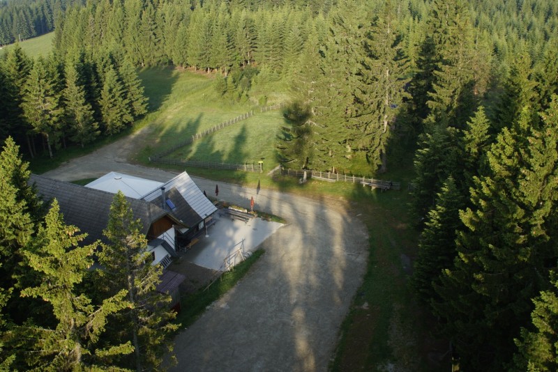 Wildwiese 1235m