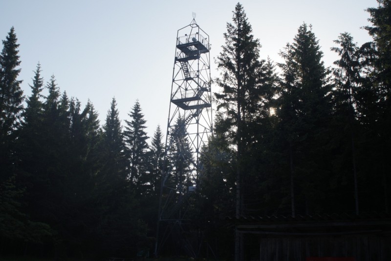 Wildwiese 1235m
