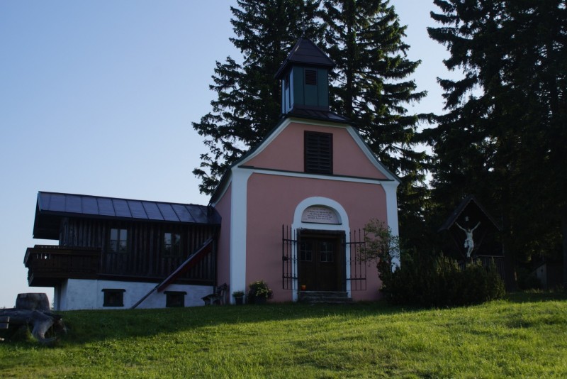 Wildwiese 1235m