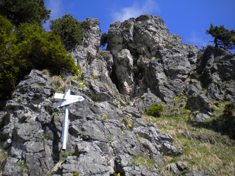 Zinken 1613m