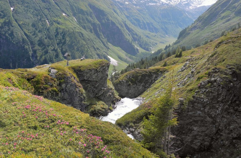 Zirmkreuz 1983m