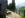 Wald-Wiese-Kuh-Gumpenkarspitze-Oberes-Soiernhaus_13320