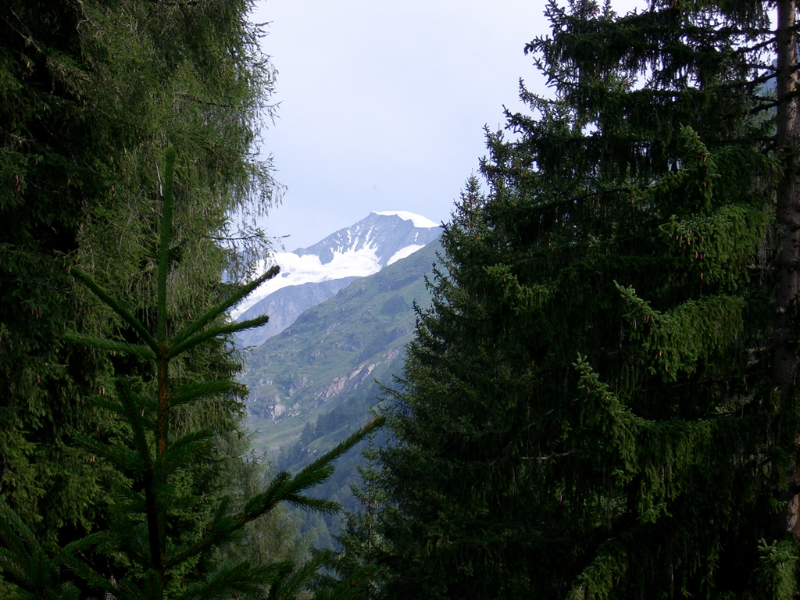 Groderhof - Finsterwitz - Groderhof