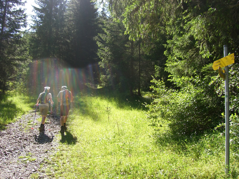 Hinterbichl - Bergerseeh�tte