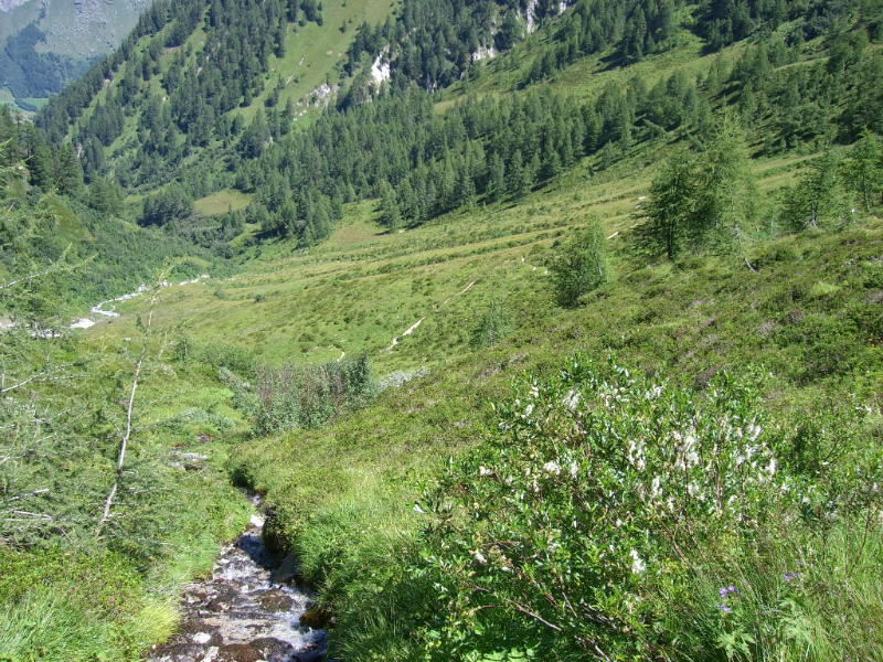 Hinterbichl - Bergerseeh�tte