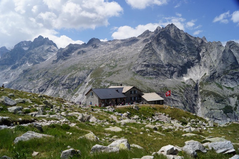 Albigna