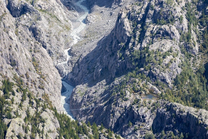 Aletschwald