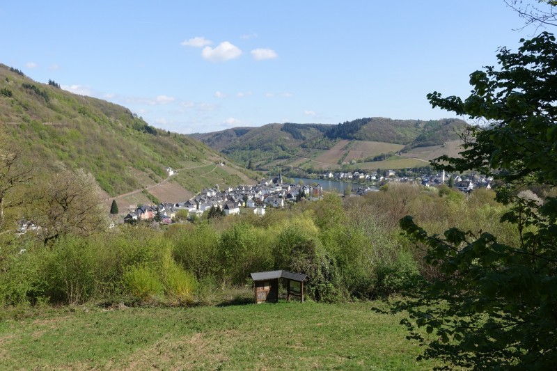 Alf - �rzig