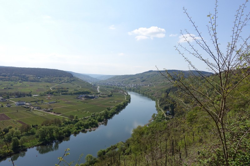 Alf - �rzig