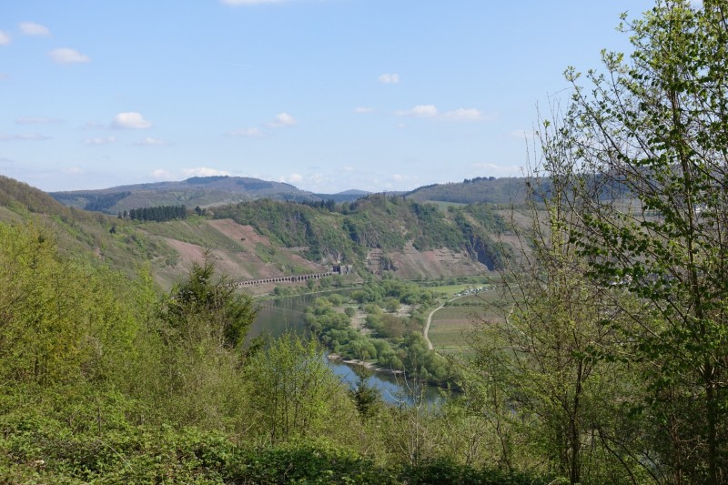 Alf - �rzig