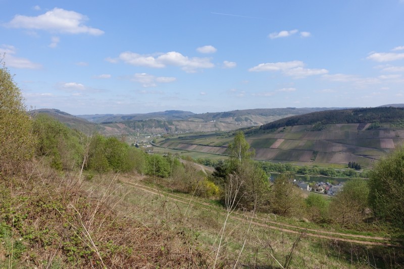 Alf - �rzig