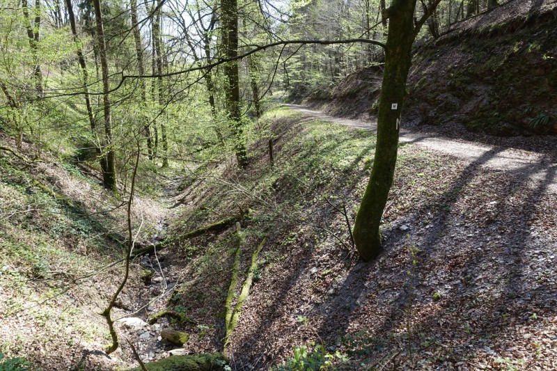 Alf - �rzig