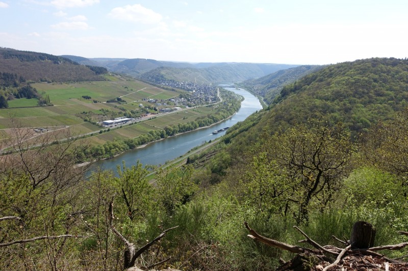 Alf - �rzig