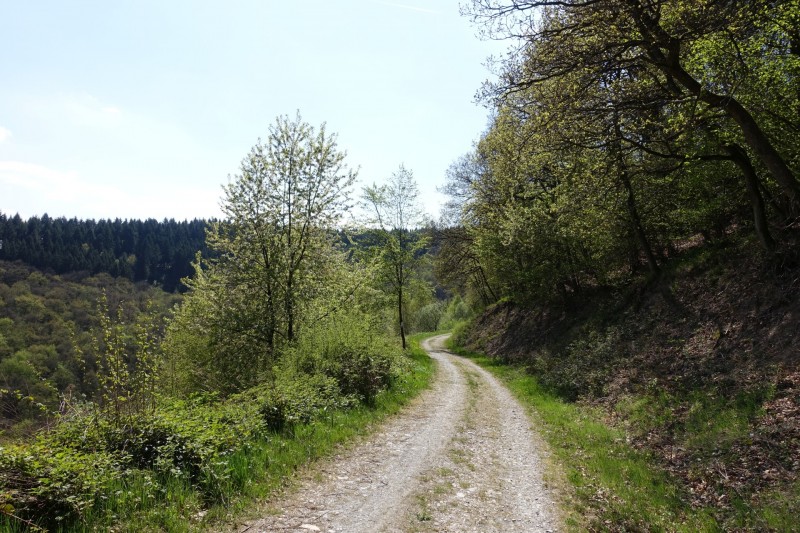 Alf - �rzig