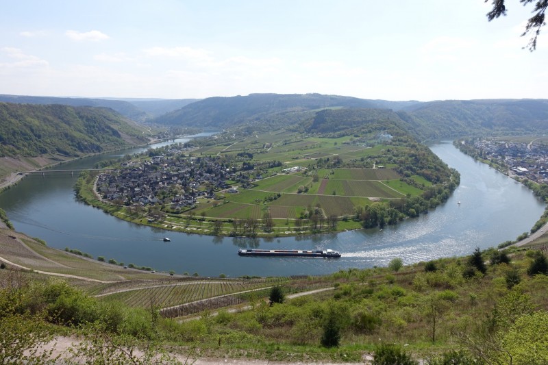 Alf - �rzig