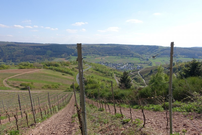 Alf - �rzig