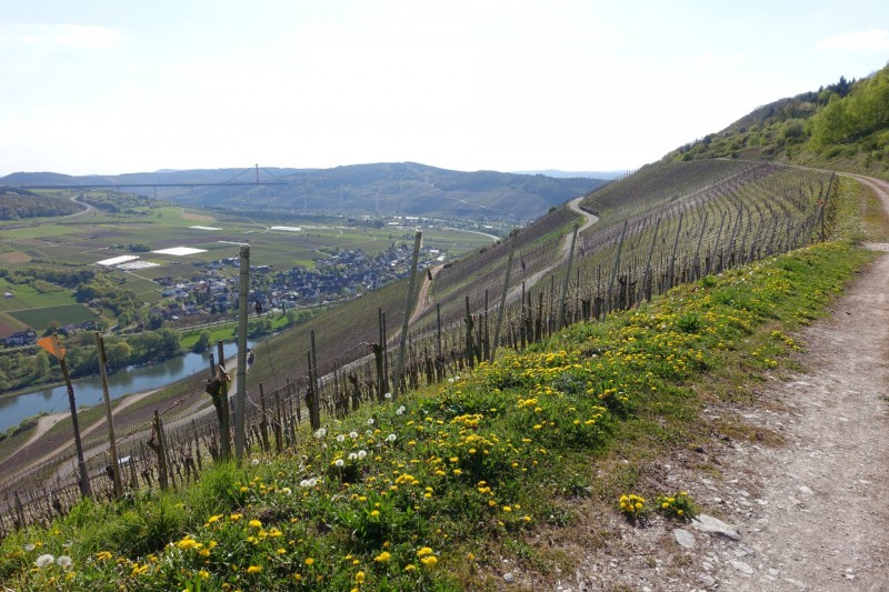 Alf - �rzig