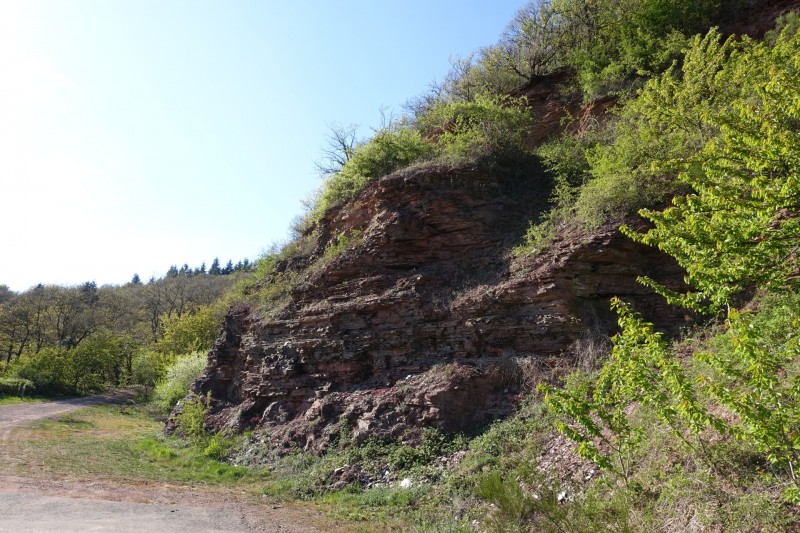 Alf - �rzig