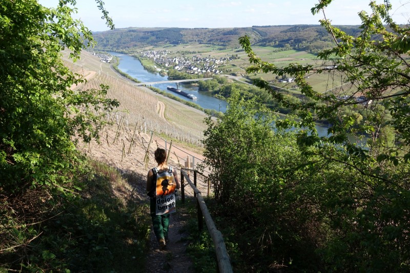 Alf - �rzig