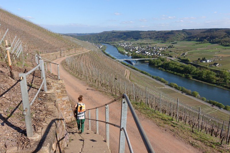 Alf - �rzig