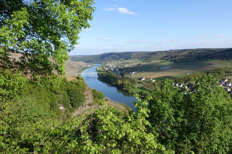 Alf - �rzig