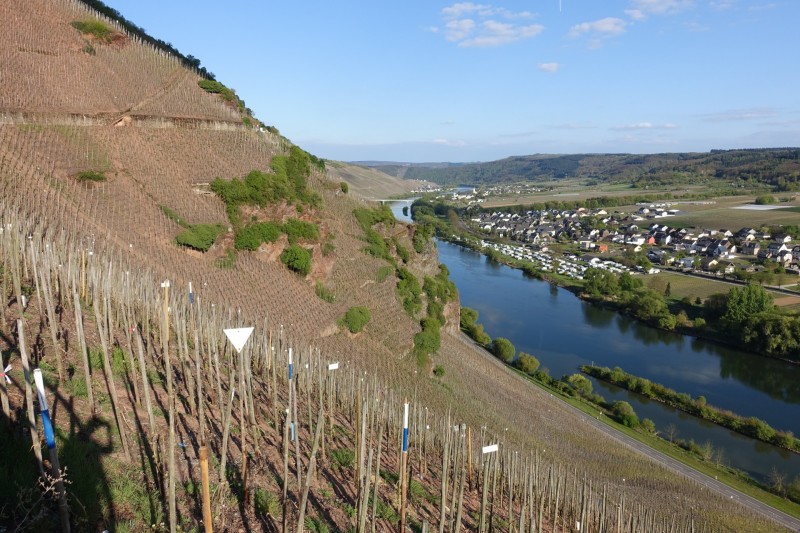 Alf - �rzig