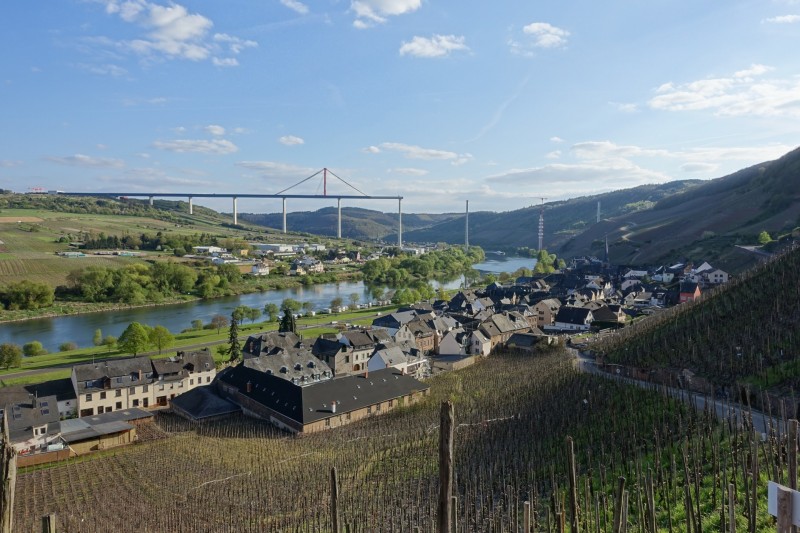 Alf - �rzig
