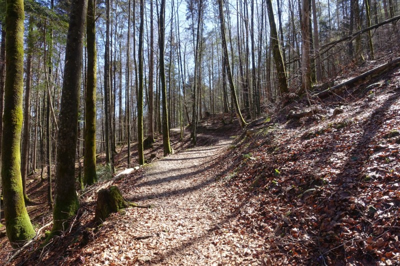 Almbachklamm Parkplatz - Kneifelspitze - Marxenhöhe