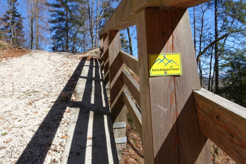 Almbachklamm Parkplatz - Kneifelspitze - Marxenhöhe