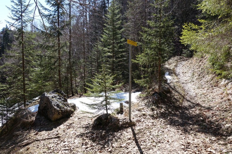 Almbachklamm Parkplatz - Kneifelspitze - Marxenhöhe