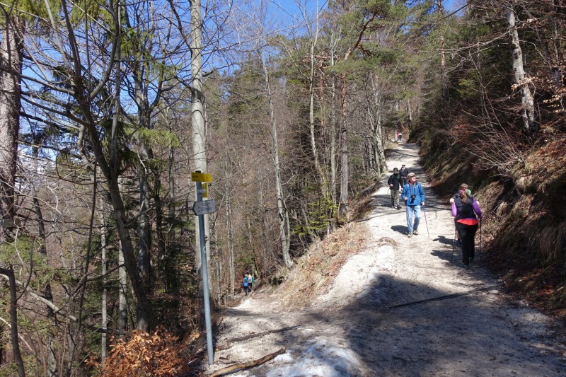 Almbachklamm Parkplatz - Kneifelspitze - Marxenhöhe