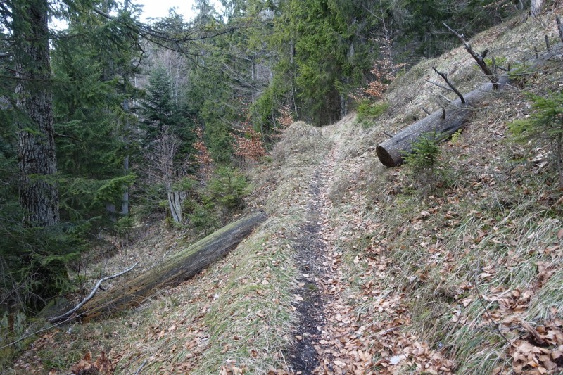 Almbachklamm Parkplatz - Kneifelspitze - Marxenhöhe