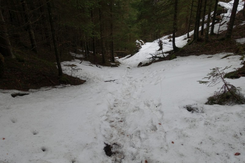 Almbachklamm Parkplatz - Kneifelspitze - Marxenhöhe