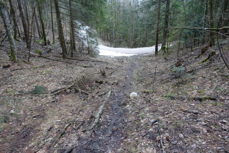 Almbachklamm Parkplatz - Kneifelspitze - Marxenhöhe