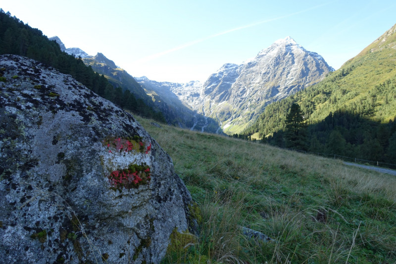 Alpengasthof Lsens - Hochgrafljoch - Hohe Rte - Gallwieser Mittergrat - Roter Kogel - Zirmweg - Alpengasthof Lsens