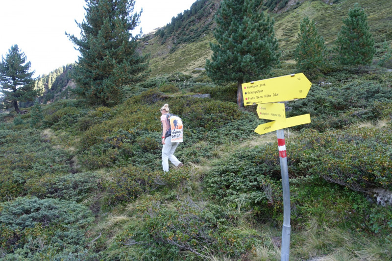 Alpengasthof Lsens - Hochgrafljoch - Hohe Rte - Gallwieser Mittergrat - Roter Kogel - Zirmweg - Alpengasthof Lsens