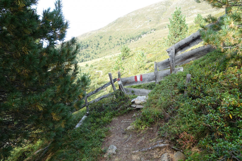 Alpengasthof Lsens - Hochgrafljoch - Hohe Rte - Gallwieser Mittergrat - Roter Kogel - Zirmweg - Alpengasthof Lsens