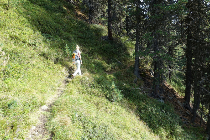 Alpengasthof Lsens - Hochgrafljoch - Hohe Rte - Gallwieser Mittergrat - Roter Kogel - Zirmweg - Alpengasthof Lsens