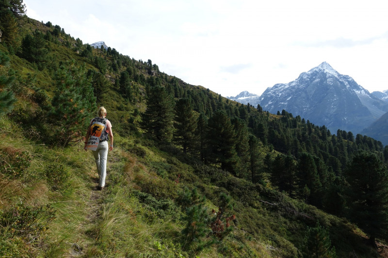 Alpengasthof Lsens - Hochgrafljoch - Hohe Rte - Gallwieser Mittergrat - Roter Kogel - Zirmweg - Alpengasthof Lsens