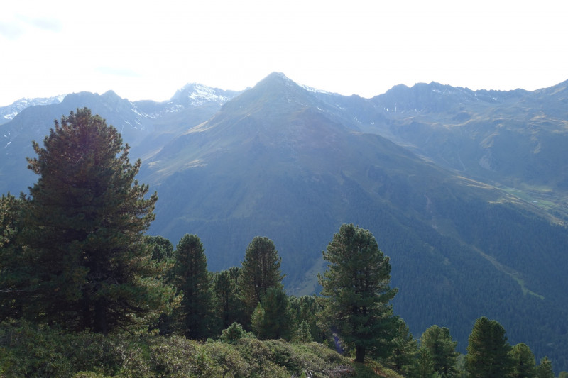 Alpengasthof Lsens - Hochgrafljoch - Hohe Rte - Gallwieser Mittergrat - Roter Kogel - Zirmweg - Alpengasthof Lsens