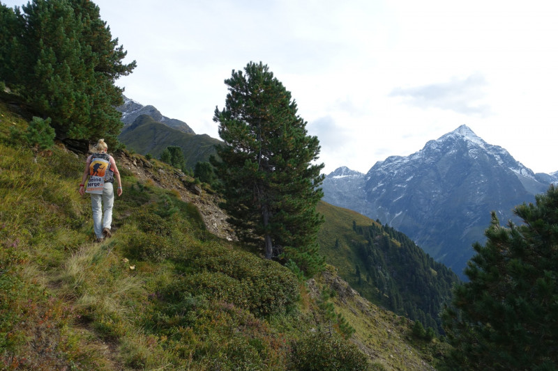 Alpengasthof Lsens - Hochgrafljoch - Hohe Rte - Gallwieser Mittergrat - Roter Kogel - Zirmweg - Alpengasthof Lsens