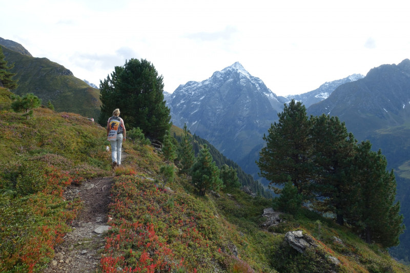 Alpengasthof Lsens - Hochgrafljoch - Hohe Rte - Gallwieser Mittergrat - Roter Kogel - Zirmweg - Alpengasthof Lsens